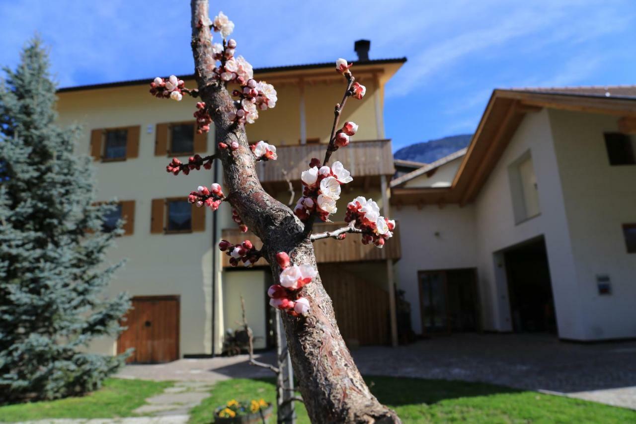 Cortina Sulla Strada del VinoFerienhof Weingenussアパートメント エクステリア 写真